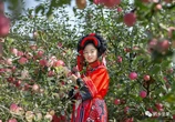 “秋城之恋”摄影作品 | 李文刚：美，在苹果之城升华